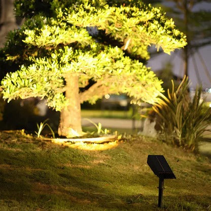 Solar LED Multi-Zoom Spot Light | Easy-Care Garden Essential That Transforms Any Outdoor Space