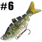 Swimming Lure | Stylish Home Essential That Transforms & Elevates Your Living Space