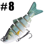 Swimming Lure | Stylish Home Essential That Transforms & Elevates Your Living Space