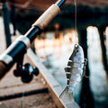 Swimming Lure | Stylish Home Essential That Transforms & Elevates Your Living Space