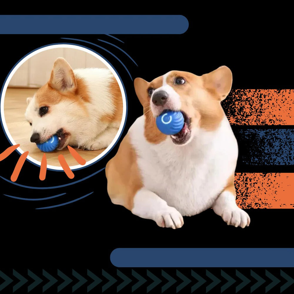 Interactive Obstacle-Avoiding Dog Ball | Durable Pet Accessory Built for Active, Playful, Energetic Pets