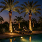 Solar LED Multi-Zoom Spot Light | Easy-Care Garden Essential That Transforms Any Outdoor Space