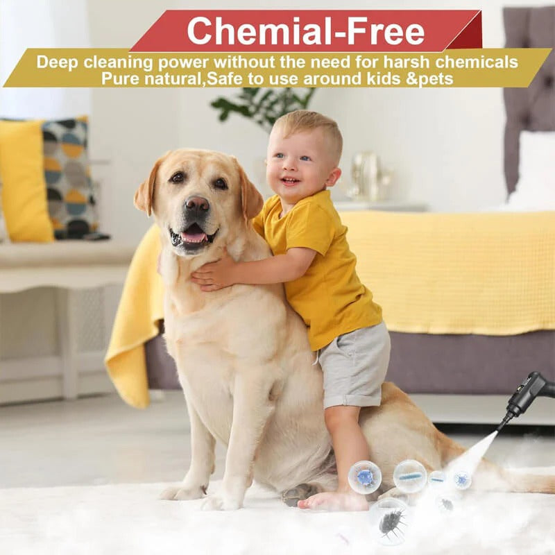 2500W High Pressure Steam Cleaner with Gloves | The Perfect Finishing Touch for Any Look, Any Season, Any Outfit