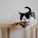 Interactive Sound Bird Cat Toy — Flapping Feather Fun for Indoor Cats | Imaginative Play for Boys & Girls — Hours of Fun & Skill-Building