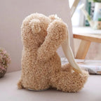 Peek-A-Boo-Teddy — Interactive Plush Toy | Screen-Free Play for Developing Minds — Kids Absolutely Love It