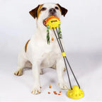 Interactive Self-Playing Pet Toy | Fun & Educational Toy for Curious, Creative, Confident Kids