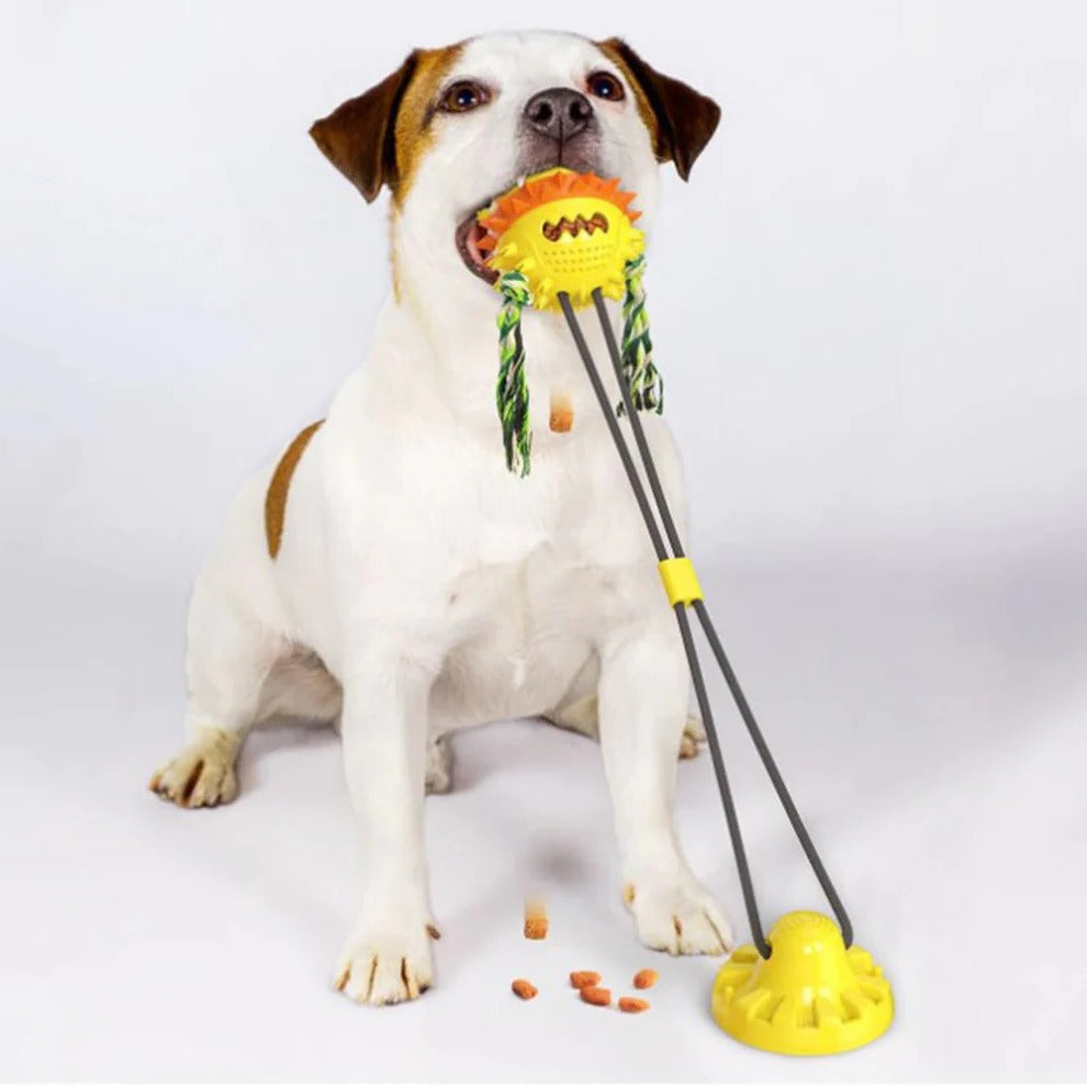 Interactive Self-Playing Pet Toy | Fun & Educational Toy for Curious, Creative, Confident Kids