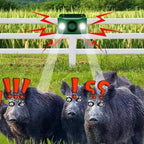 Beast Repellent Solar Warning Lights | Easy-Care Garden Essential That Transforms Any Outdoor Space