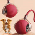 Active Rolling Ball with Tail for Dogs | Vet-Approved Pet Essential for Comfort, Safety & Wellbeing