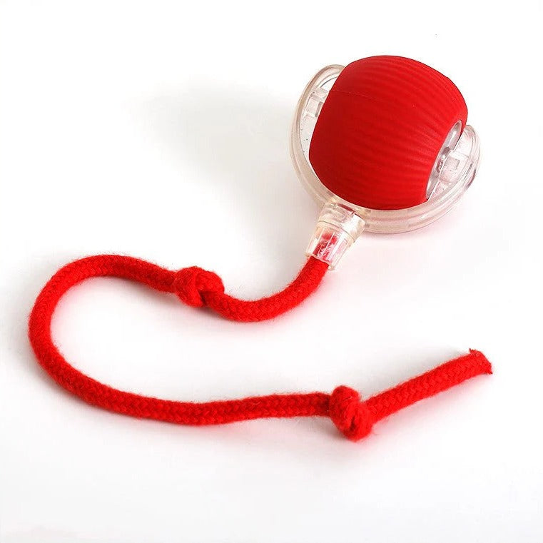 Active Rolling Ball with Tail for Dogs | Vet-Approved Pet Essential for Comfort, Safety & Wellbeing
