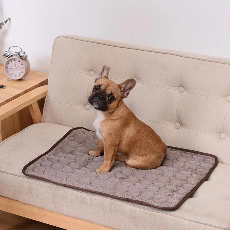 Cooling Pad for Pets | Durable Pet Accessory Built for Active, Playful, Energetic Pets
