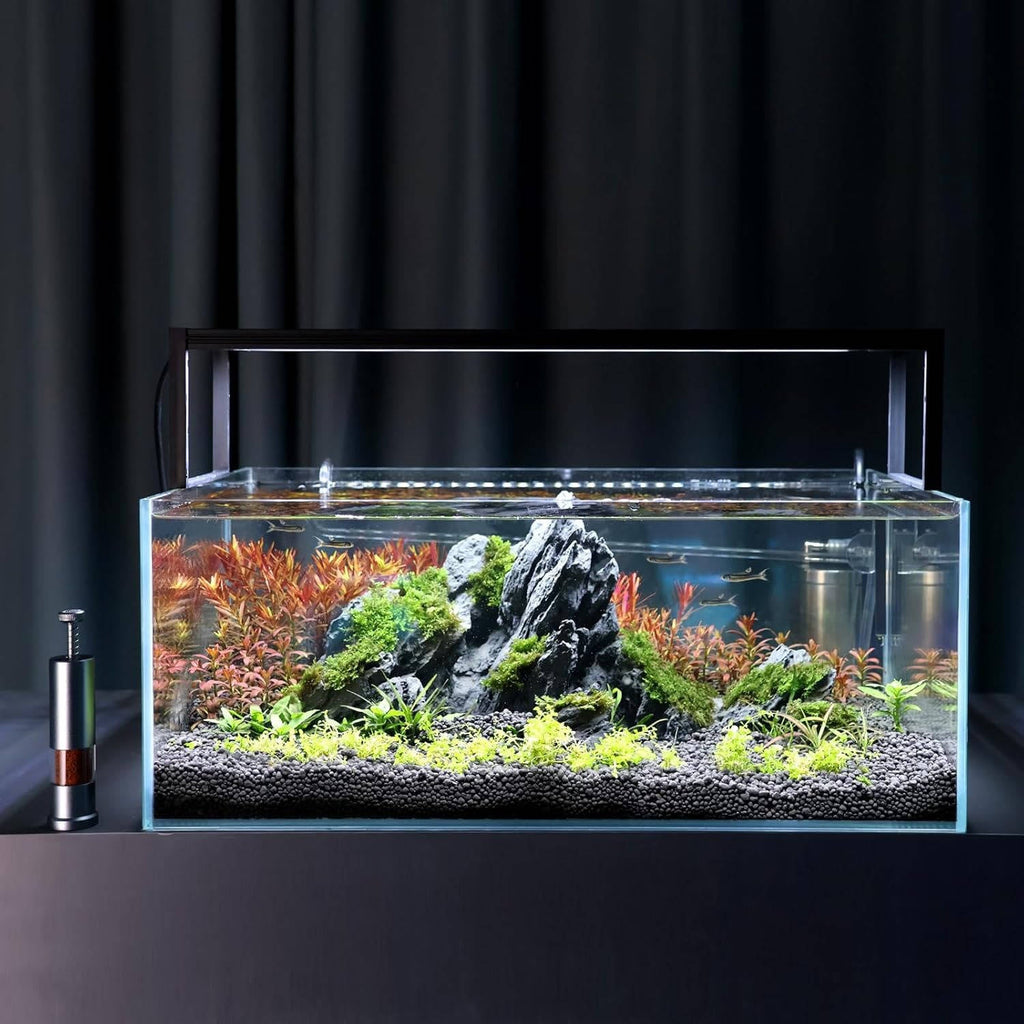Mini Fish Feeder Aquarium | Vet-Approved Pet Essential for Comfort, Safety & Wellbeing