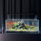 Mini Fish Feeder Aquarium | Vet-Approved Pet Essential for Comfort, Safety & Wellbeing