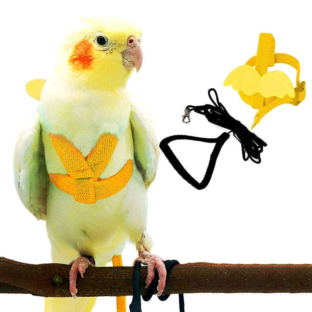 Parrot Bird Harness | Vet-Approved Pet Essential for Comfort, Safety & Wellbeing