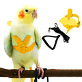 Parrot Bird Harness | Vet-Approved Pet Essential for Comfort, Safety & Wellbeing