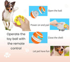 Interactive Dog Ball Toy | Screen-Free Play for Developing Minds — Kids Absolutely Love It