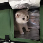 Heated Outdoor Cat House for Winter | Waterproof Insulated Shelter for Outdoor Cats