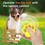 Interactive Dog Ball Toy | Screen-Free Play for Developing Minds — Kids Absolutely Love It