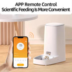 Automatic Cat Feeder | Premium Pet Care — Safe, Durable & Trusted by Pet Owners Everywhere