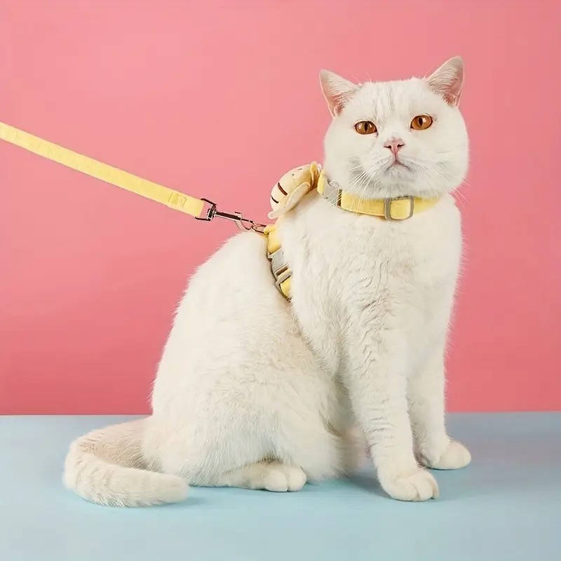 Cat Collar And Harness | Durable Pet Accessory Built for Active, Playful, Energetic Pets