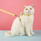 Cat Collar And Harness | Durable Pet Accessory Built for Active, Playful, Energetic Pets