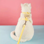 Cat Collar And Harness | Durable Pet Accessory Built for Active, Playful, Energetic Pets