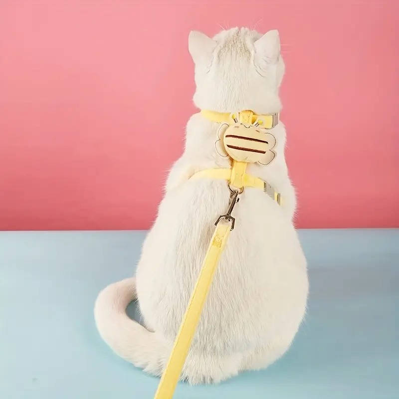 Cat Collar And Harness | Durable Pet Accessory Built for Active, Playful, Energetic Pets