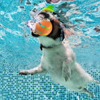 Interactive Dog Ball Toy | Screen-Free Play for Developing Minds — Kids Absolutely Love It
