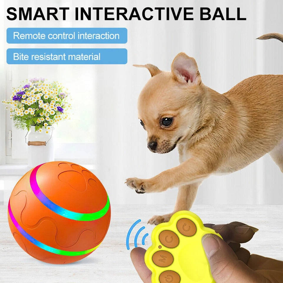 Interactive Dog Ball Toy | Screen-Free Play for Developing Minds — Kids Absolutely Love It