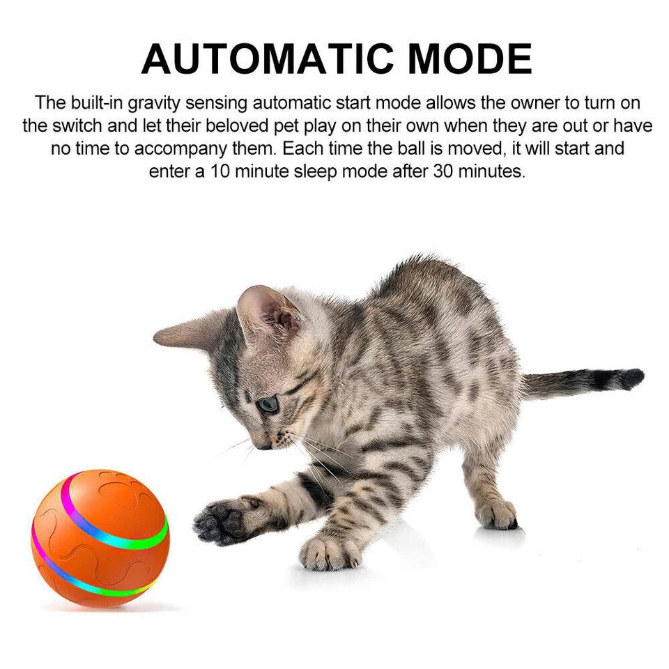 Interactive Dog Ball Toy | Screen-Free Play for Developing Minds — Kids Absolutely Love It
