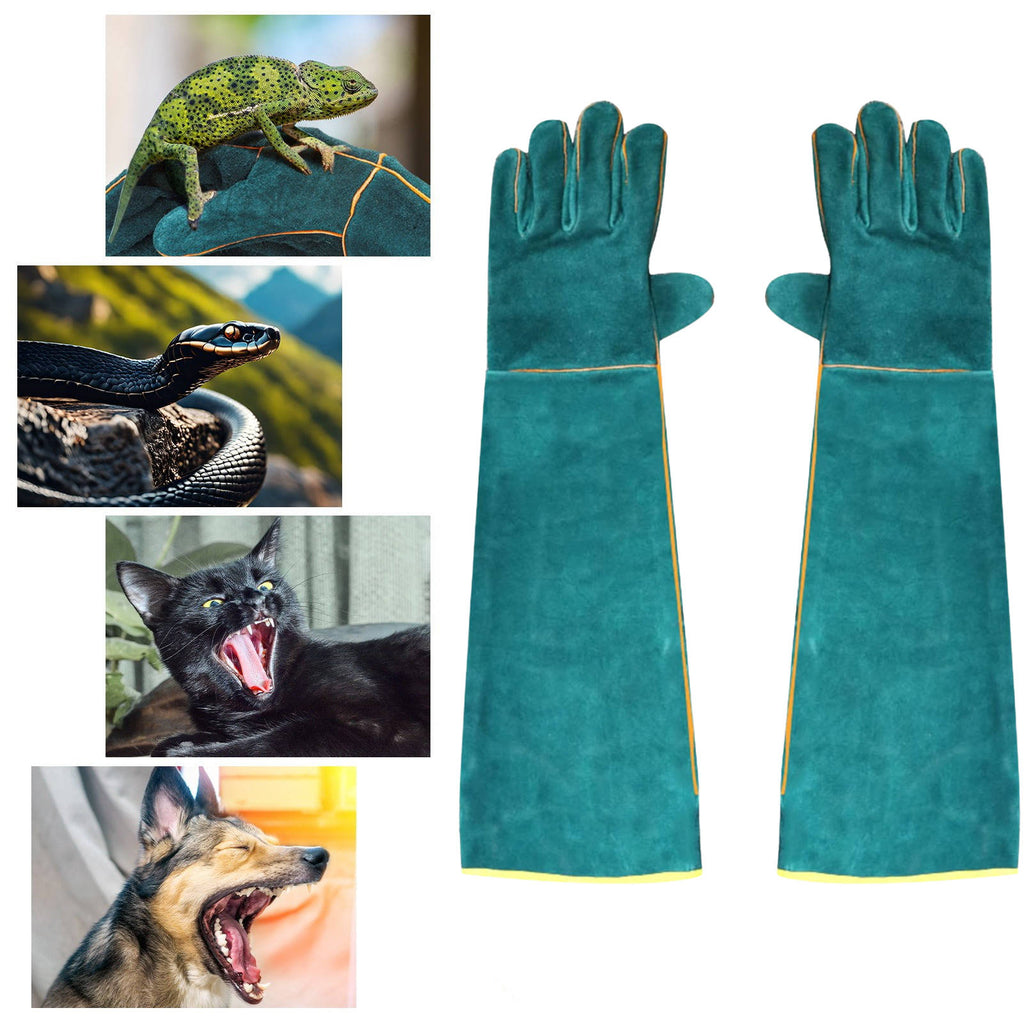 Bite Protection Gloves | Stylish & Versatile Accessory to Complete Any Look, Any Occasion