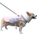 Dog Cooling Vest for Outdoor Activities | Vet-Approved Pet Essential for Comfort, Safety & Wellbeing