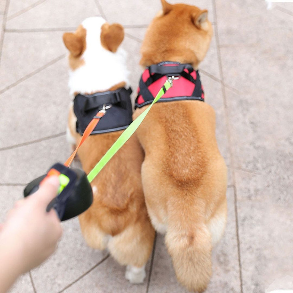 Anti-Tangle Double Dog Leash | Trusted by Pet Owners — Safe, Easy to Use & Built to Last