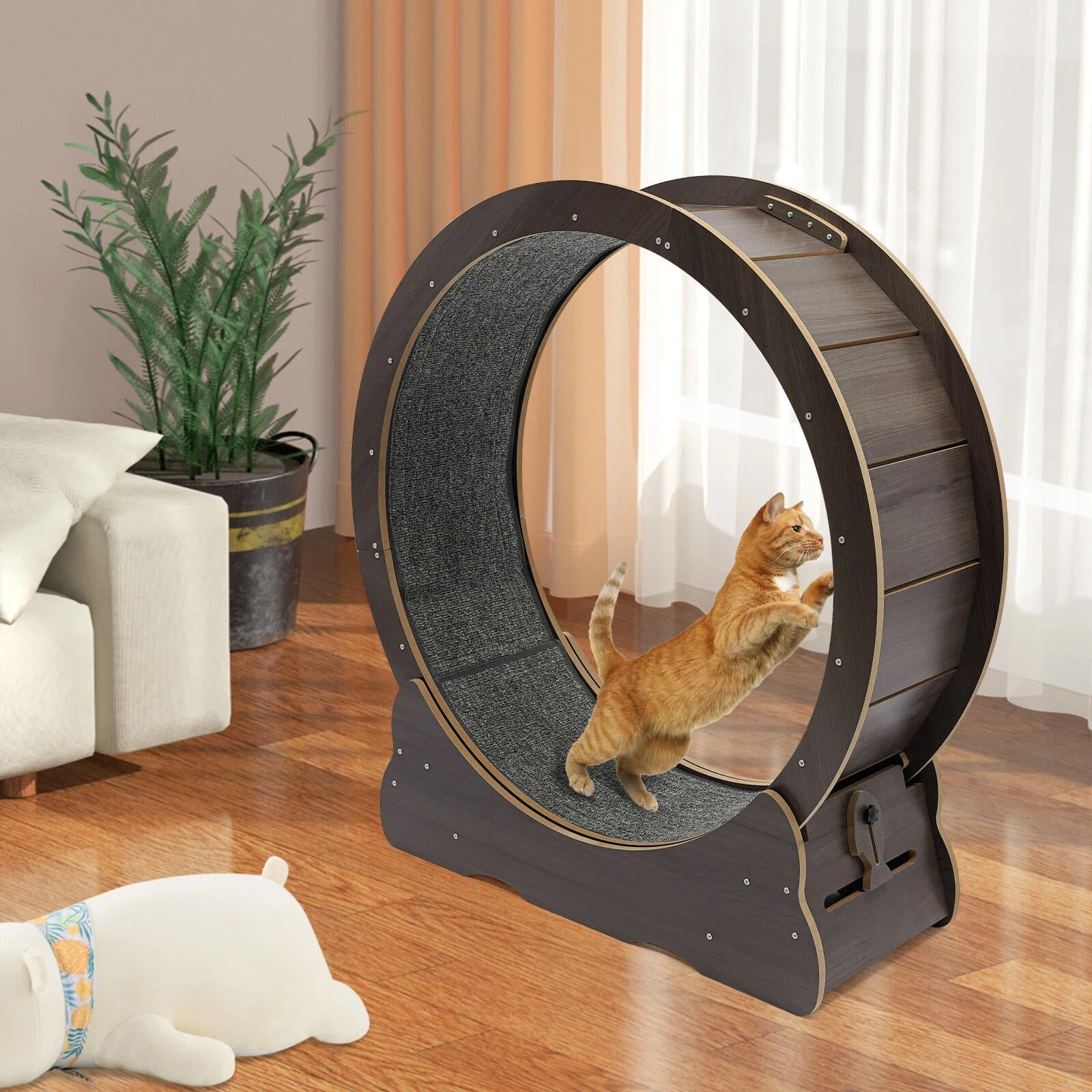Cat Exercise Wheel | Trusted by Pet Owners — Safe, Easy to Use & Built to Last