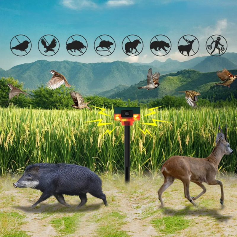 Solar Bird Repeller with Flashing Light | Hardy, Weather-Resistant & Beautifully Designed for Your Outdoor Space