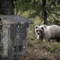 Solar Powered Night Vision Trail Camera | Hardy, Weather-Resistant & Beautifully Designed for Your Outdoor Space